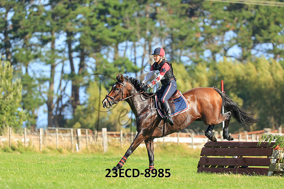 23ECD-8985