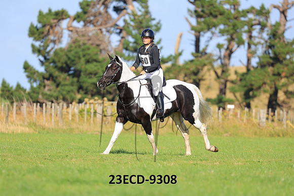 23ECD-9308