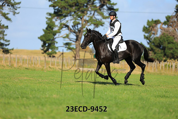 23ECD-9452
