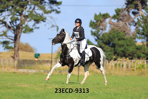 23ECD-9313