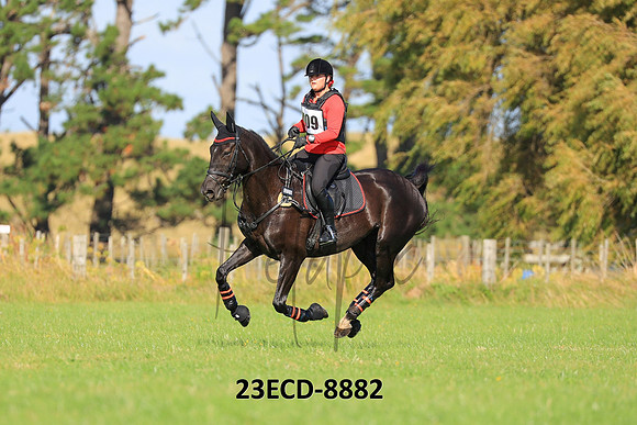 23ECD-8882