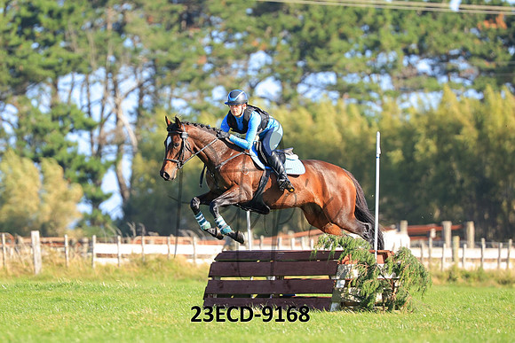 23ECD-9168