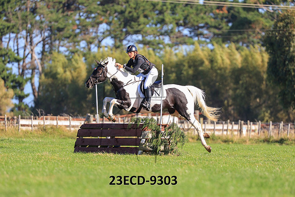 23ECD-9303