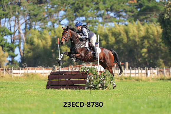 23ECD-8780