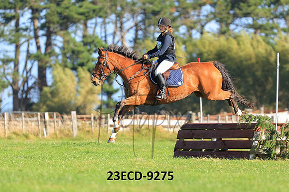 23ECD-9275