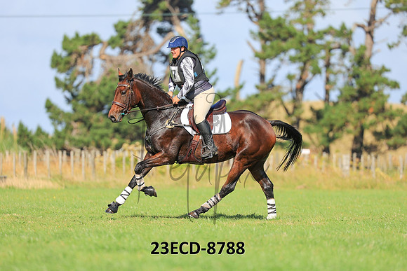 23ECD-8788