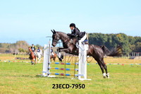 23ECD-7950