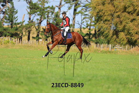 23ECD-8849