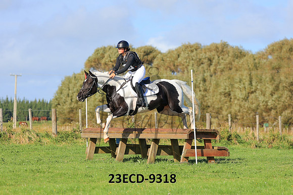 23ECD-9318