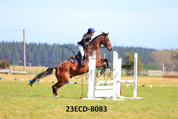 23ECD-8083
