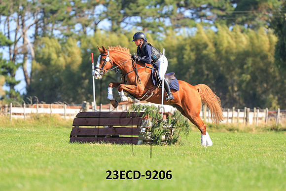 23ECD-9206