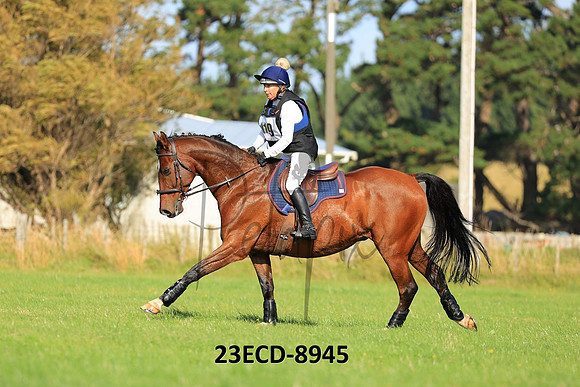 23ECD-8945