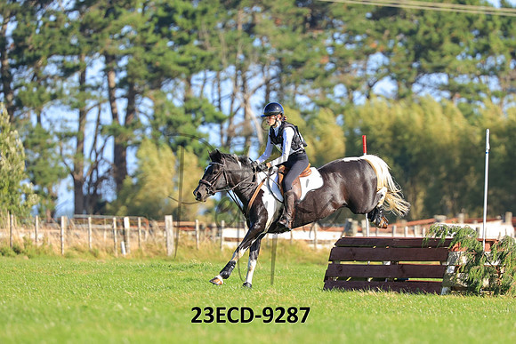 23ECD-9287