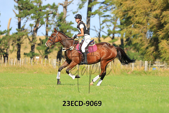 23ECD-9069