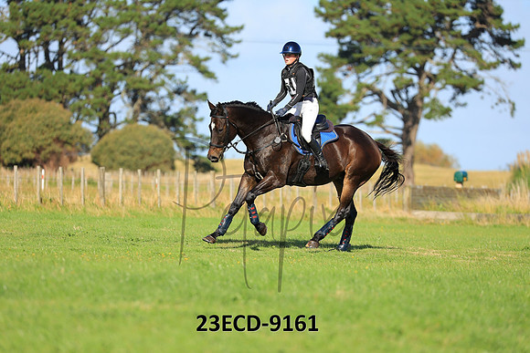 23ECD-9161