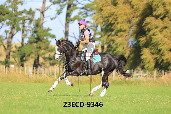 23ECD-9346