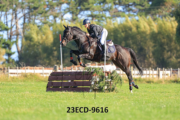 23ECD-9616