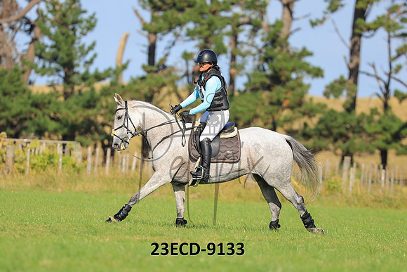 23ECD-9133