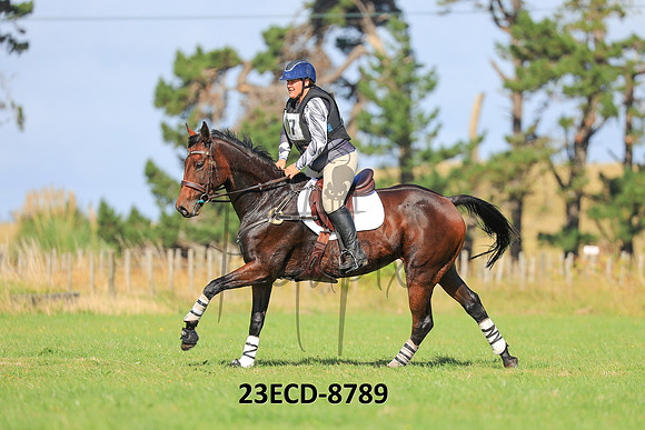 23ECD-8789