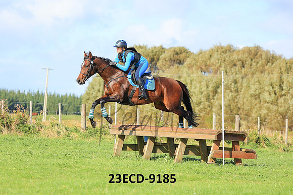 23ECD-9185