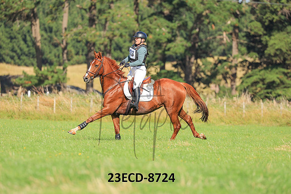 23ECD-8724