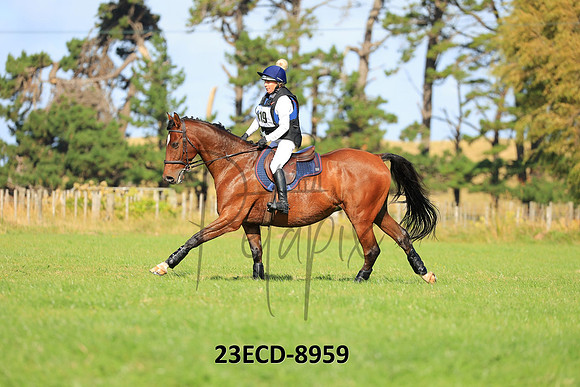23ECD-8959