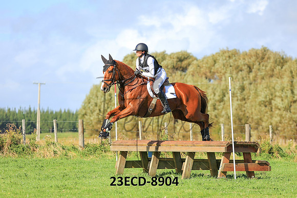 23ECD-8904