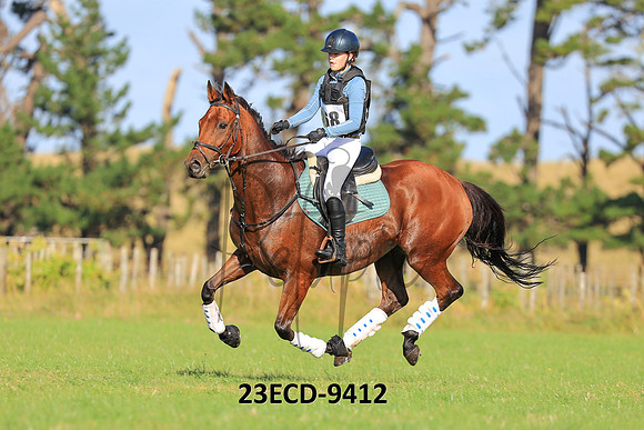 23ECD-9412