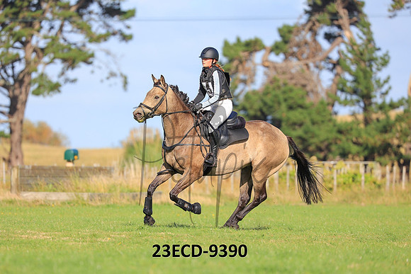 23ECD-9390