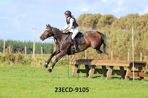23ECD-9105