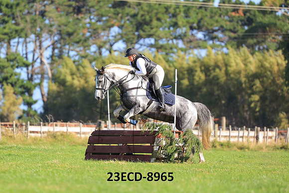23ECD-8965