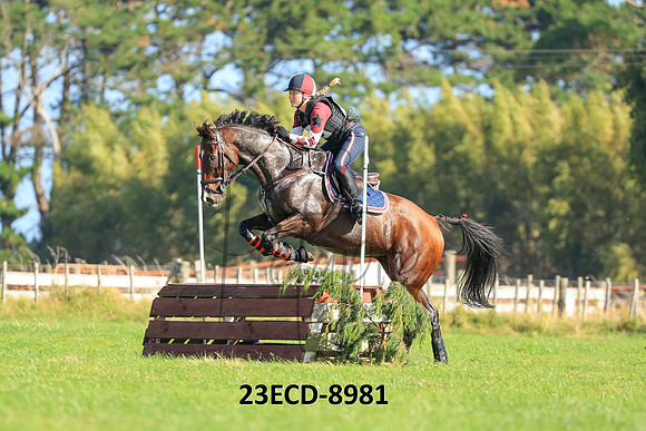 23ECD-8981