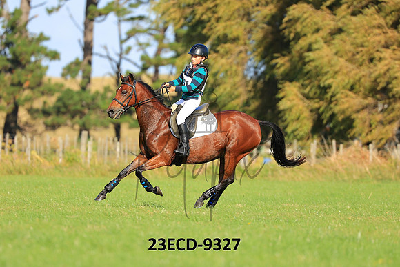23ECD-9327