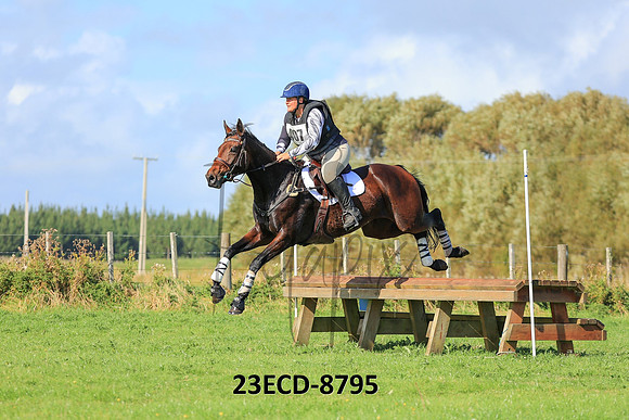 23ECD-8795
