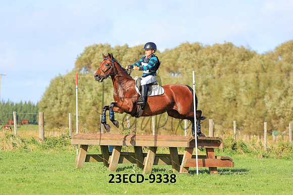 23ECD-9338