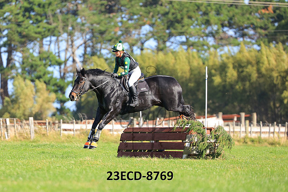 23ECD-8769