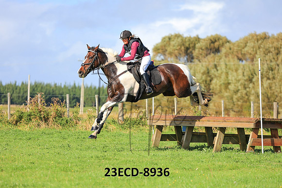 23ECD-8936