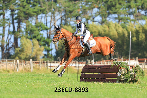 23ECD-8893