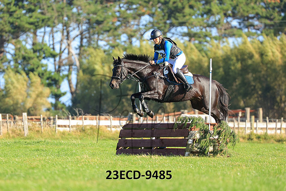 23ECD-9485