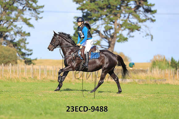 23ECD-9488