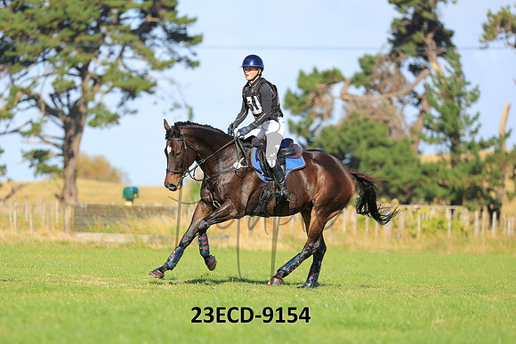 23ECD-9154