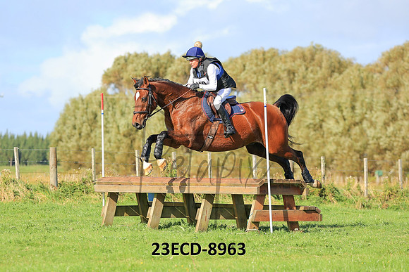 23ECD-8963