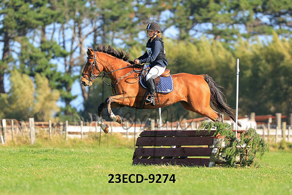 23ECD-9274