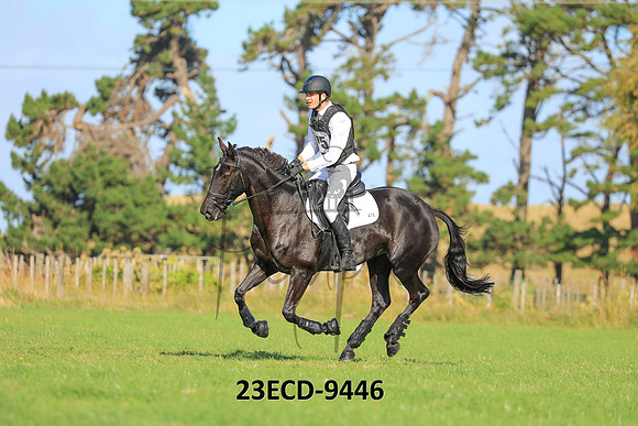 23ECD-9446