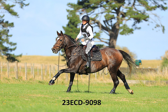 23ECD-9098