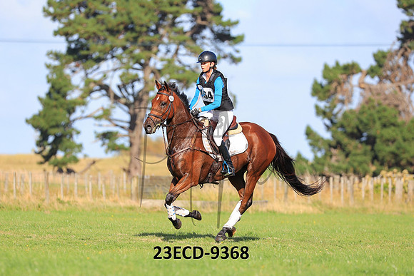 23ECD-9368