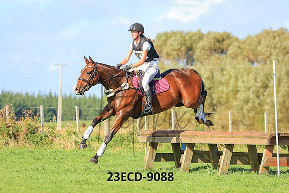 23ECD-9088