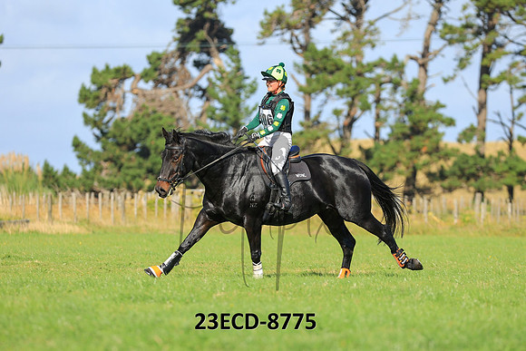 23ECD-8775