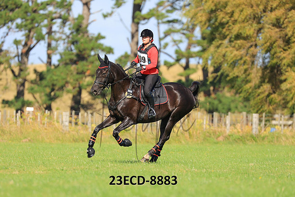 23ECD-8883