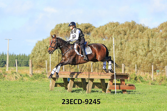 23ECD-9245